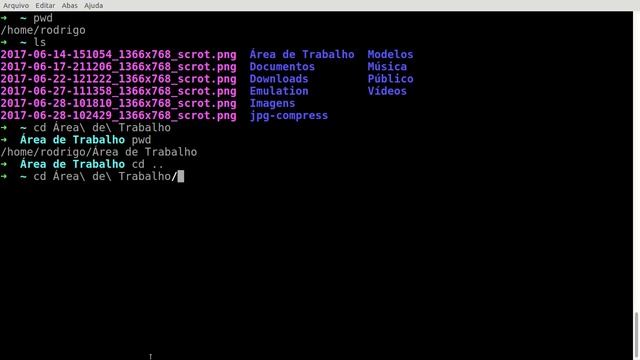 Como usar o terminal do Linux - Comandos Básico смотреть онлайн