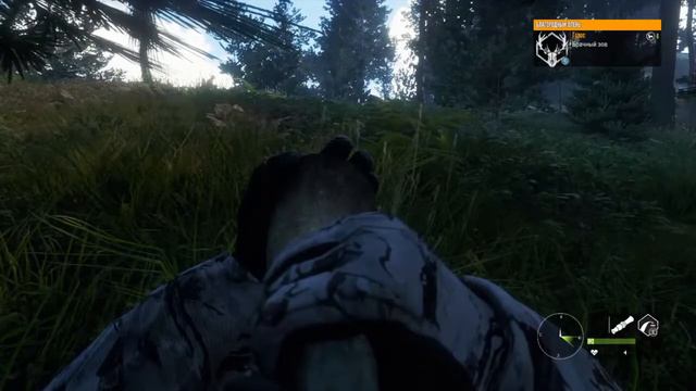 Охота в Новой Зеландии|Винтовка Hudzik 50 / the Hunter Call of the Wild
