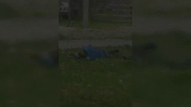 Видео прикол смотреть онлайн