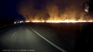 Горит трава рядом с дорогой.
