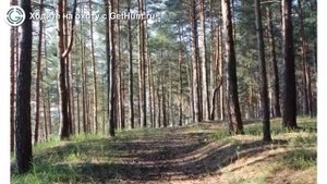 Охота в Рязанской области – Рязанское ОООиР Клепиковское районное отделение охота на лося