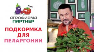 ПОДКОРМКА ДЛЯ ПЕЛАРГОНИИ