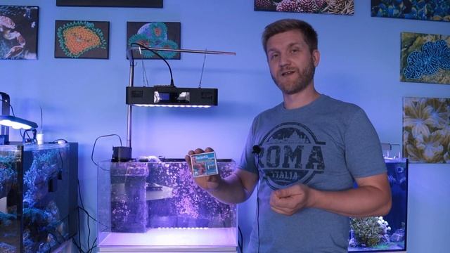 Песок для морского аквариума.Prodibio Aragonite Premium. Перезапуск морского аквариума. смотреть онлайн