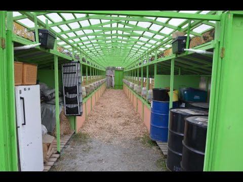 Шедовое содержание кроликов. Миниферма "Братец Кролик"