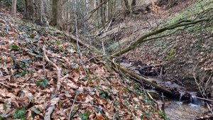 Успокаивающие звуки маленького ручья для сна и релаксации. Успокаивающий звук маленького ручья.