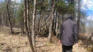 К ИСТОКУ ГОРНОЙ РЕКИ. ЧАСТЬ 2. Весенняя Бысса. Февральск.  Природа Селемджинского района.