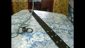 Ошейник для взрослой коровы своими руками