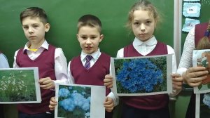 «Окружающий мир».Растительный мир родного края.