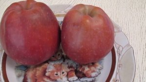 Яблоки сорт Ред Чиф Apples of the Red Chief variety???