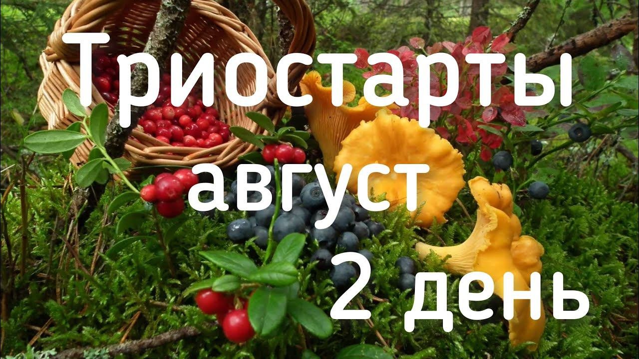 Шапочка для торопыжек / Клуб 28 петель / Пряжа CAPRICE LUX VITA/ Вязальные триостарты август 2 день/