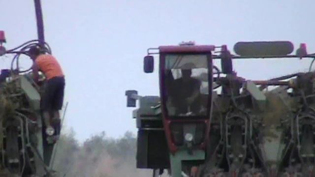 начало уборка льна 2016 смотреть онлайн