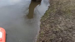 Катер для морской рыбалки на воде.