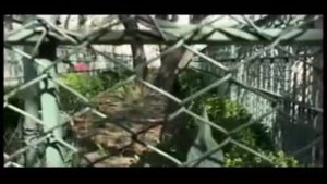 Могила Юши возле Стамбула   место распятия Христа