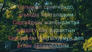 Суйом деп айта албадым - текст