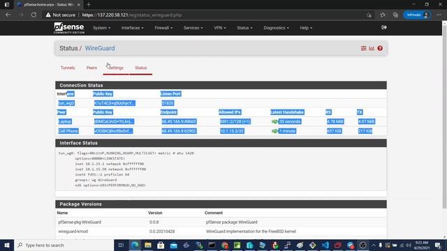 pfSense WireGuard Package - Project Report 005 (UPDATED) смотреть онлайн