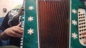 Белые розы на гармони