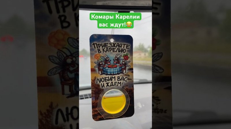 А в Коми комаров оказалось намного больше)) #таежныеприключения #рыбалка