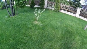 Уход за газоном. Правило №1: Правильно косите газон!