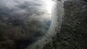 Закидушки в ночь, проверка.