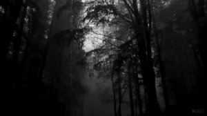 ЭКСКЛЮЗИВНО ОТ WORLD BEGEMOT KOT ДЛЯ КАНАЛА MOONLIT.Страшные истории - ТЕБЕ ПОРА В ГРОБ!