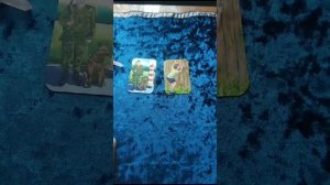 Техники выбора