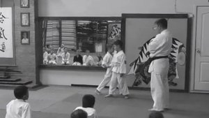 Детская тренировка Айкидо. Kids Aikido. Федерация Айкидо Амурской области.