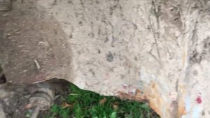 Один день из моей жизни // Ставим 14 штампы на оку // В лес на уазе