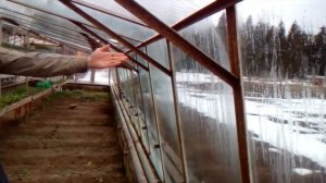 Озимые томаты, полная версия