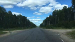 Дорога: "Вологда - Пречистое - Буй - Галич - Нея - Шарья - Ветлуга - Шахунья - Яранск - Йошкар-Ола"