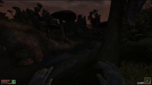 TES 3 Morrowind Кооп