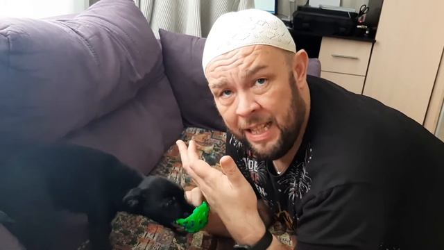 Как успокоить собаку когда она нервничает? Всё просто. смотреть онлайн