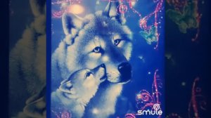 Одинокий волк 🐺 Влад  Порфиров