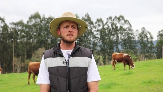 Montbeliard: rusticidade, saúde e alta produção de leite! смотреть онлайн