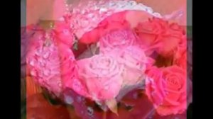 Как вырастить голландские розы How to grow roses Dutch
