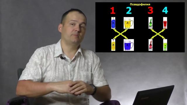 Психософия. Теория. Связь психосовских и соционических типов. смотреть онлайн