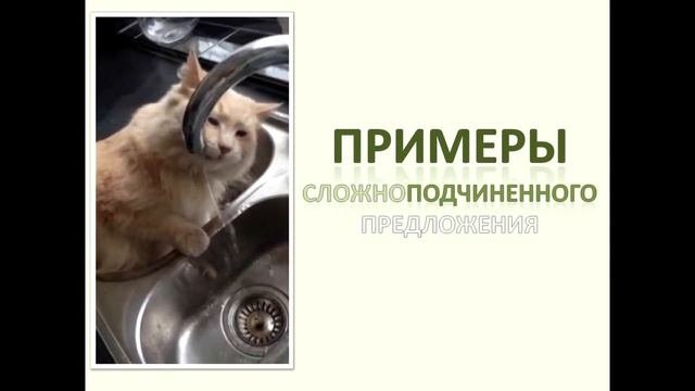 примеры сложносочиненных и сложноподчиненных предложений
