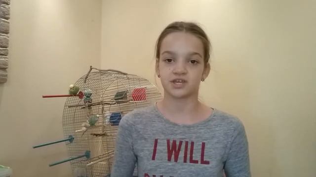 Сколько живут волнистые попугаи?!От чего зависит продолжительность жизни попугая?