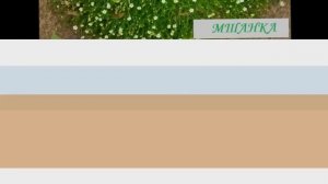 Неприхотливые почвопокровные цветы многолетники