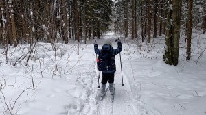 Лыжи в лесу - заблокировали все карты Тройка - Москвография - Что посмотреть в Москве