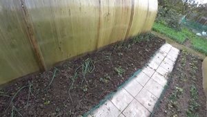 КОПОШУСЬ ЕЩЕ НА ОГОРОДЕ☘☘☘ БЕЛЯШИКИ НА ОБЕД ? WE LIVE IN THE KUBAN ??