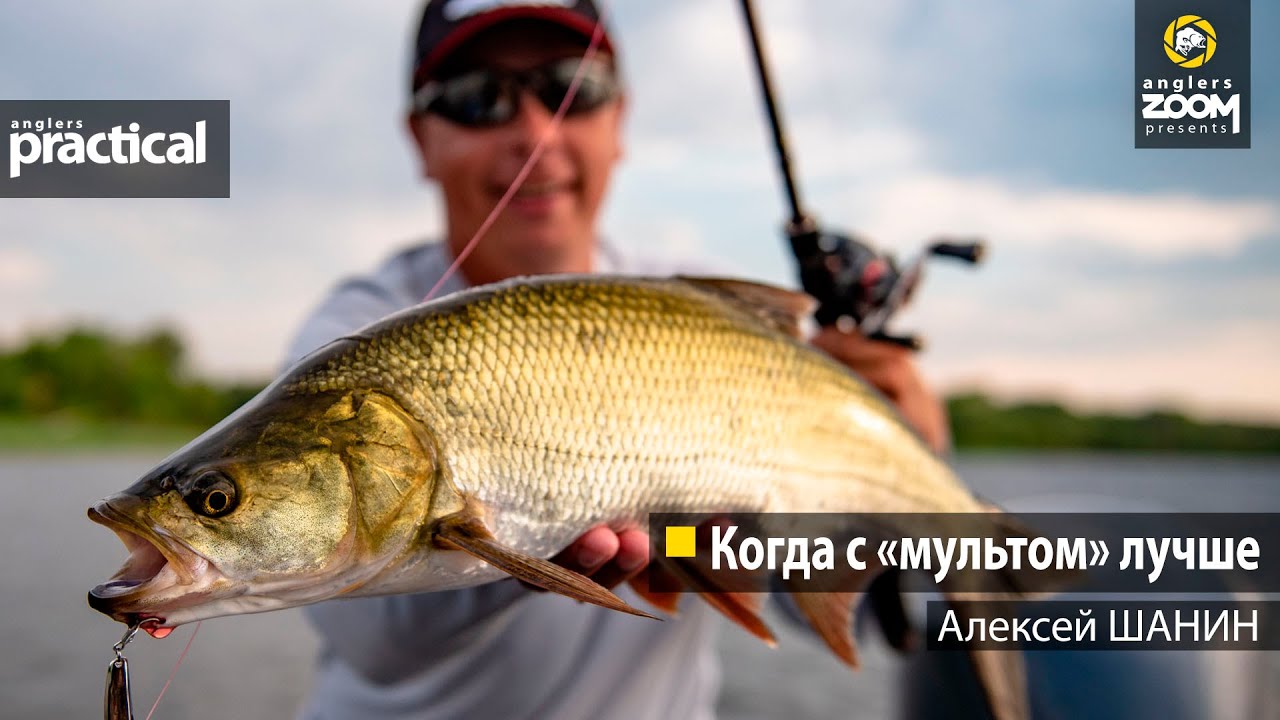 Когда с 'мультом' лучше. Алексей Шанин смотреть онлайн