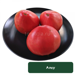 Алсу