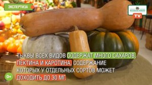 «Московские ярмарки»: выбираем тыкву