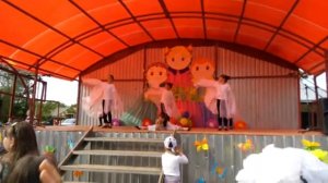 Птицы мои птицы