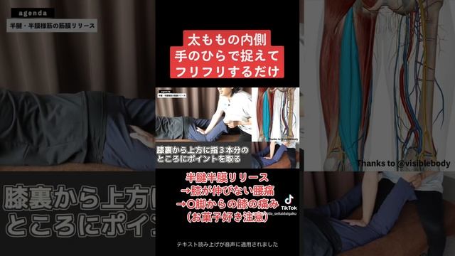 ハムスト内側(半腱半膜)の筋膜リリーステクニック！ смотреть онлайн