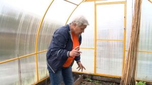 Голова садовая - Все о капусте