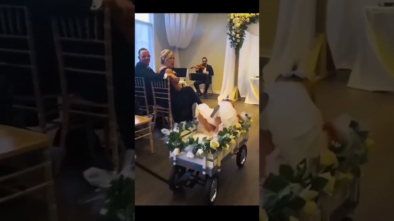 Смешные свадебные моменты смотреть онлайн