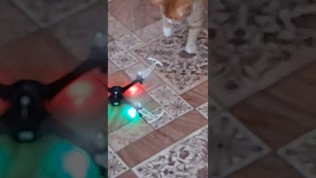 обзор на квадракоптора X15A Zymа и машина TORNADO 4X4 смотреть онлайн