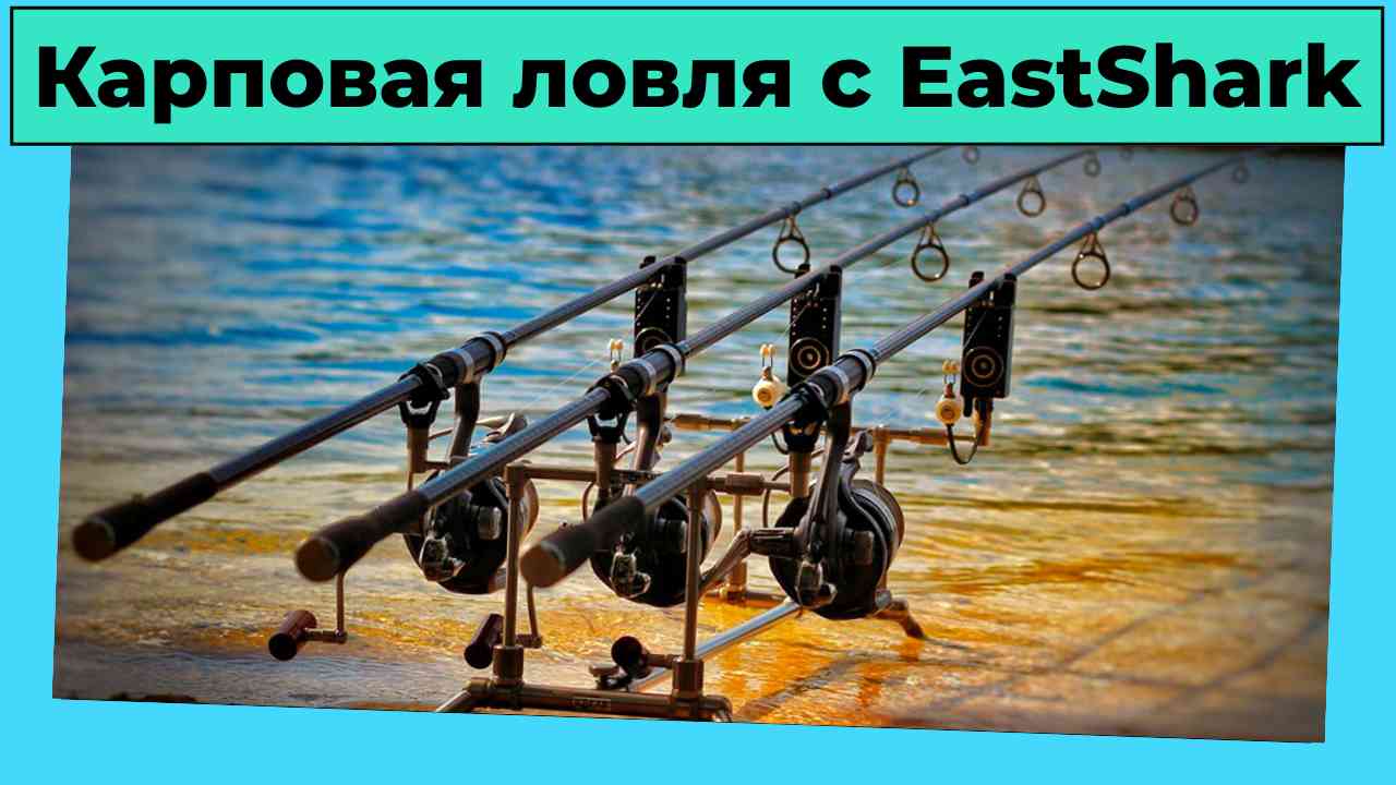 Карповая ловля с EastShark