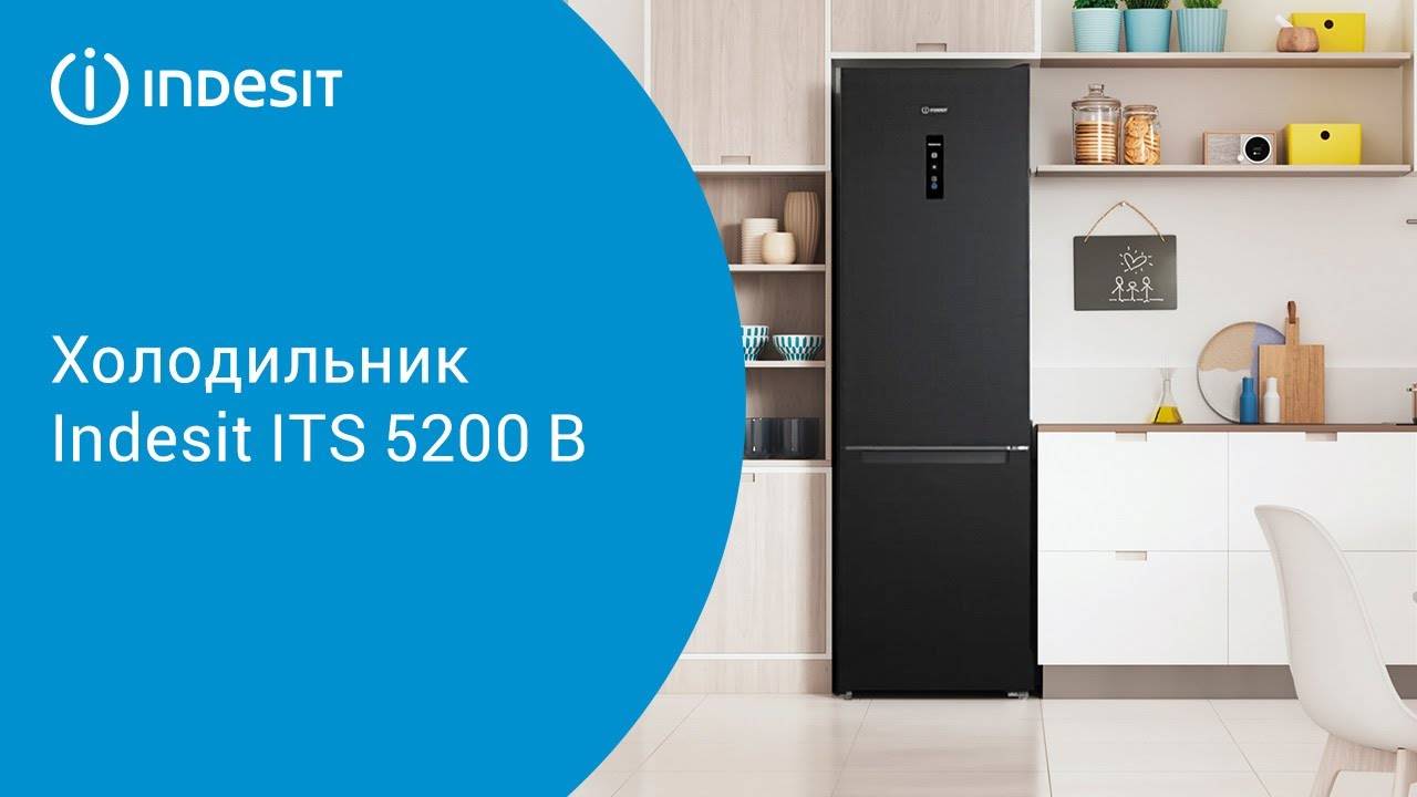 Холодильник Indesit ITS 5200 B - обзор модели